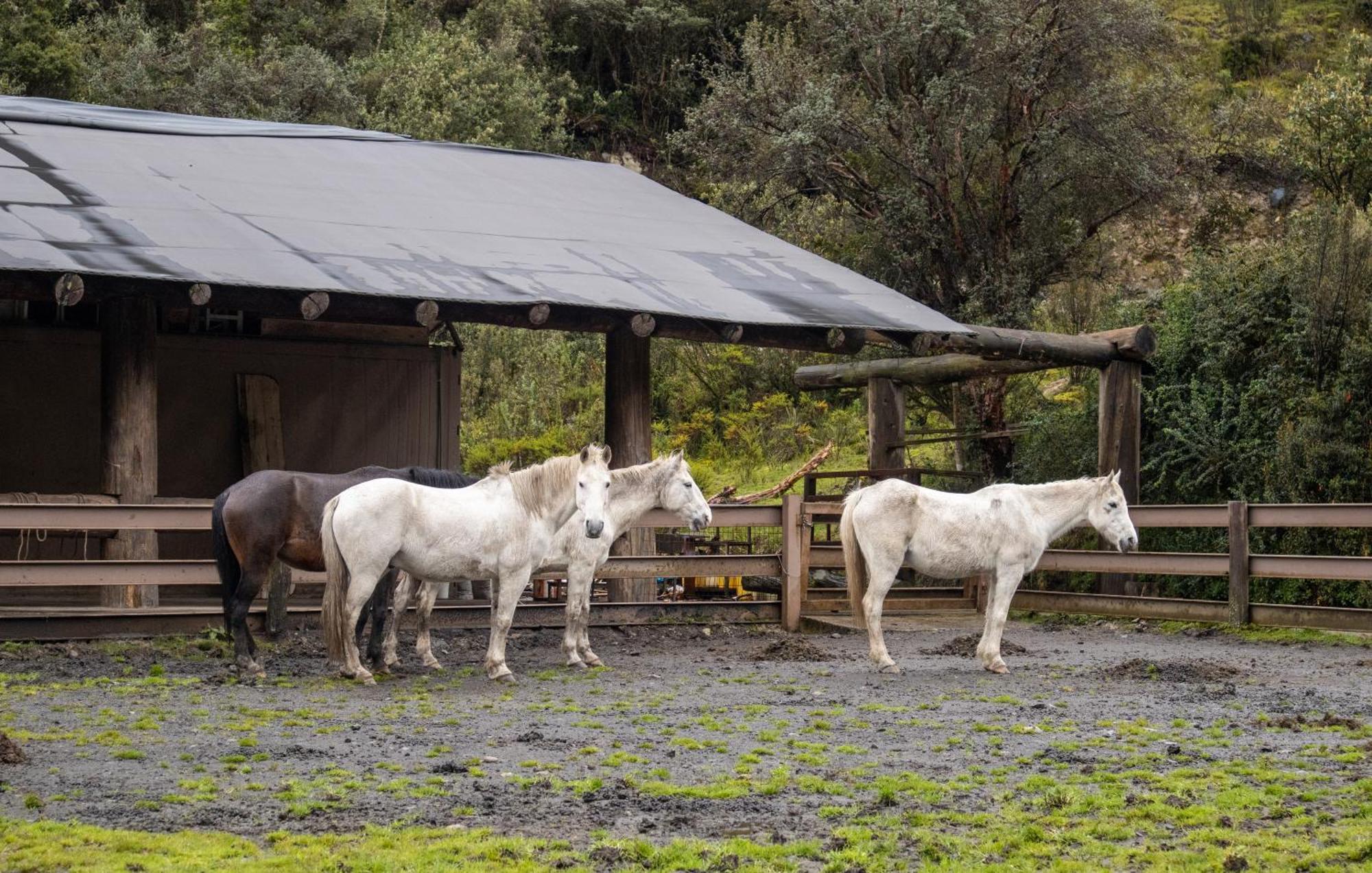 Hacienda Hosteria Dos Chorreras Cuenca Exteriör bild